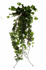 003 Veštaćke lozice   